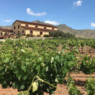 Comida para dos en Bodegas Perfer (Uleila del Campo, Almería)