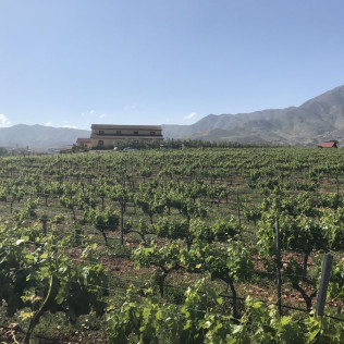 Comida para dos en Bodegas Perfer (Uleila del Campo, Almería)