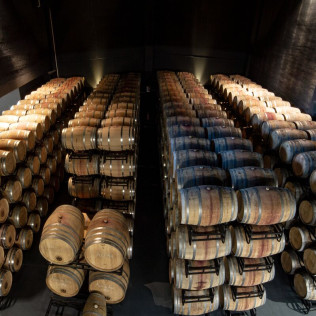 Experiencia "Piensa menos, siente más": Visita y Cata en Bodegas Javier San Pedro Ortega (Laguardia, Álava)