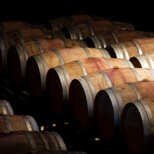 Experiencia "Piensa menos, siente más": Visita y Cata en Bodegas Javier San Pedro Ortega (Laguardia, Álava)