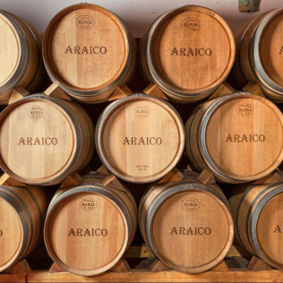 Visita a 2 bodegas con calado del Siglo XIX, cata de 3 vinos y picoteo para dos en Bodegas Araico (Villabuena de Álava, Álava)