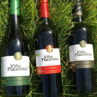 Visita a Bodegas Viña Placentina con Cata de Vinos y Circuito Spa para dos en Hotel Hospes Palacio de Arenales & Spa 5* (Cáceres)