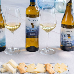 Visita Tradicional a Bodegas Vionta con Cata de Vinos para dos (Meaño, Pontevedra)