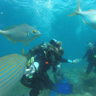 Bautismo de Buceo (Playa de Las Vistas, Tenerife)