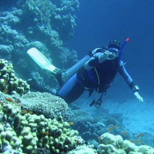 Bautismo de Buceo (Fuengirola, Málaga)