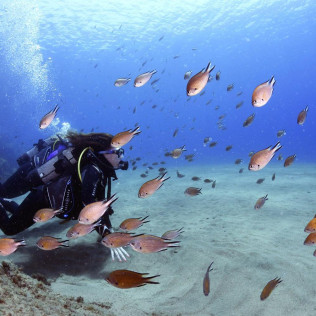 Bautismo de Buceo en Playa Chica del Puerto del Carmen (Lanzarote)