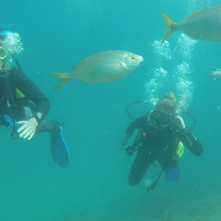 Bautismo de Buceo para dos (Playa de Las Vistas, Tenerife)