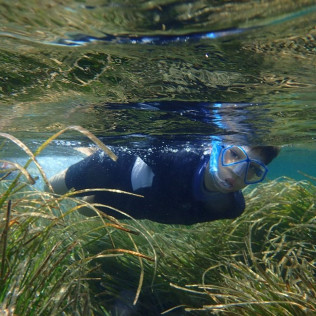 Snorkel con Excursión en Barco Opcional para dos (Alicante)