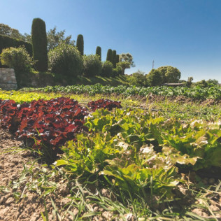 Escapada en Habitación o Cabaña con Cena y Masaje en Masia Rural Can Caponet (Lliçà d'Amunt, Barcelona)