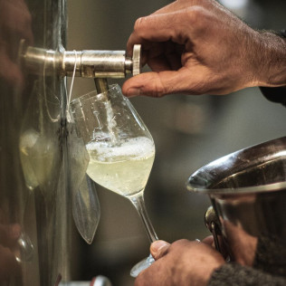 Visita a Celler Can Suriol con Cata de Vino, Cava y Aceite de Oliva para dos (Font-rubí, Barcelona)