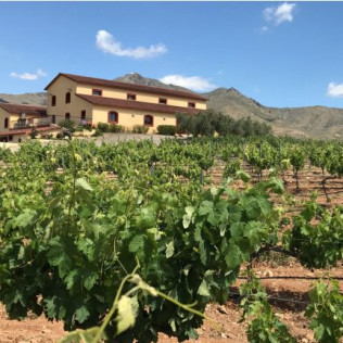 Escapada con Desayuno en Casa Rural Aloe Vera y Visita a Bodegas Perfer con Cata de Vinos y Aperitivos (Almería)