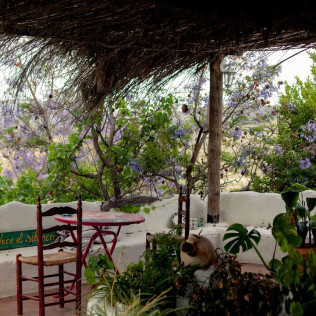 Escapada con Desayuno en Casa Rural Aloe Vera (Huércal-Overa, Almería)