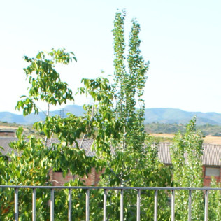 Escapada de 2 Noches con Desayuno en Casa Rural El Gaiter (Aguaviva, Teruel)