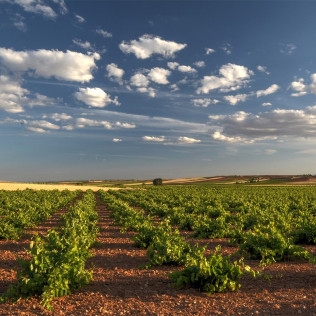 Escapada en Casa Rural Santa Ana y Visita a Bodega Campos de Dulcinea con Cata de Vinos para dos (Toledo)