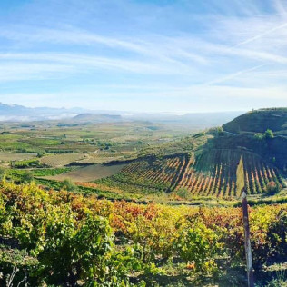 Escapada 2 noches en Casa Rural Senderuela con Jacuzzi Privado y Visita a Bodega (La Rioja)