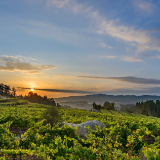 Escapada en Casa Rural Pazo Larache y Visita a Bodega Pazo de Señorans con Cata de Vino y Aguardientes para dos (Pontevedra) 