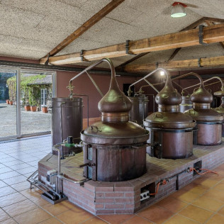 Escapada en Casa Rural Pazo Larache y Visita a Bodega Pazo de Señorans con Cata de Vino y Aguardientes para dos (Pontevedra) 