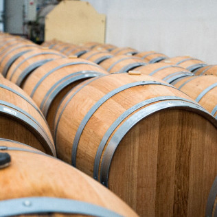 Visita a Almazara y a Bodega Emina Rueda con Cata de Aceites y Vinos (Valladolid)