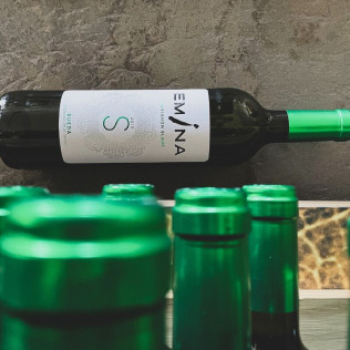 Visita a Almazara y a Bodega Emina Rueda con Cata de Aceites y Vinos (Valladolid)