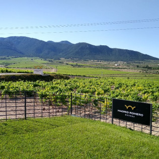 Visita a Bodega Madrid Romero y Cata de 4 Vinos para dos (Balsicas, Murcia)