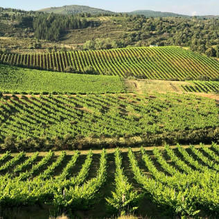 Visita a Bodega del Abad con Cata de 4 Vinos para dos (Carracedelo, León)