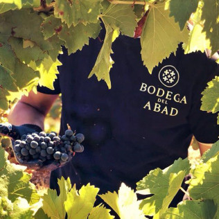 Visita a Bodega del Abad con Cata de 4 Vinos para dos (Carracedelo, León)