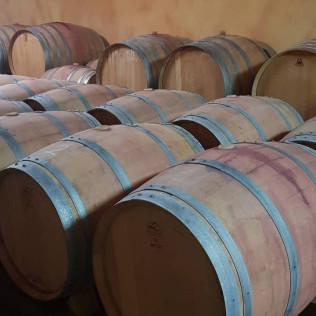 Visita a las Bodegas Palacio de Lerma con Cata de 4 Vinos a Ciegas (Lerma, Burgos)