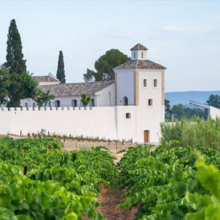 Visita a Bodega Raíces Ibéricas y Cata de Vinos para dos en Finca Calderón (Requena, Valencia)