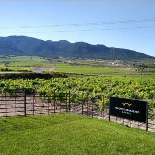 Visita a Bodega Madrid Romero con Cata de 5 Vinos y Circuito Termal para dos en Lohega Spa (Murcia)