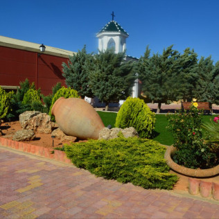 Visita a Viñedos y Bodega con Cata de Vinos en Finca Carril Cruzado (Cuenca)