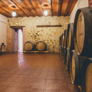 Visita a Viñedos y Bodega con Cata de Vinos en Finca Carril Cruzado (Cuenca)