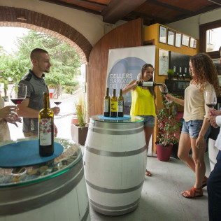 Visita a Viñedos en 4x4, Bodega, Cata de Vinos y Aperitivo para dos en Cellers Baronia del Montsant (Tarragona)