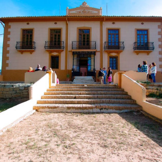 Visita a Viñedos y Bodega Vera de Estenas con Cata de 3 Vinos para dos (Utiel, Valencia)