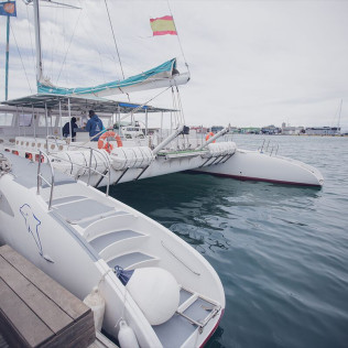 Puesta de Sol en Catamarán con Copa de Cava (Valencia)