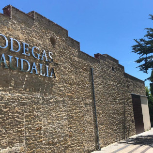 Visita a Bodegas Caudalía con Cata de Vinos con Aperitivo y Aceite de Oliva Virgen Extra para dos (Lerga, Navarra)