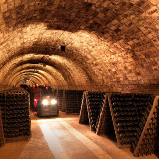 Visita a las Cavas Codorníu con degustación de 2 cavas de alta gama (Sant Sadurní d'Anoia, Barcelona)