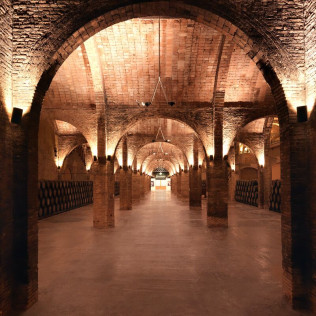 Visita a las Cavas Codorníu con degustación de 2 cavas de alta gama (Sant Sadurní d'Anoia, Barcelona)