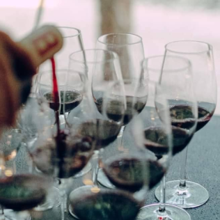 Escapada con Visita a Bodega y Degustación en Finca Bell-Lloc (Palamós, Girona)