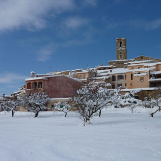 Visita al Celler Ficaria Vins con Cata de 3 Vinos para dos (La Figuera, Tarragona)