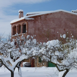 Visita al Celler Ficaria Vins con Cata de 3 Vinos para dos (La Figuera, Tarragona)