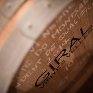 Visita a Bodega y Cata de Vinos para dos en el Celler Ronadelles - Cap de Ruc (Cornudella de Montsant, Tarragona)