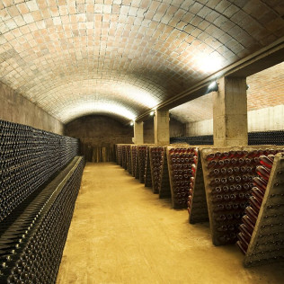Visita a Celler Vell con Cata de Cava y Aperitivo para dos (Sant Sadurní d'Anoia, Barcelona)