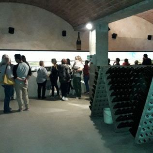 Visita a Celler Vell con Cata de Cava y Aperitivo para dos (Sant Sadurní d'Anoia, Barcelona)