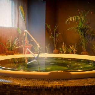 Circuito Spa en Cobre 29 en Hotel Meliá Valencia 4* (Valencia)