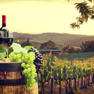 Circuito Spa en Hotel Palacio Albacete & Spa 4* y Visita a Bodega Los Aljibes con Cata de Vinos (Albacete)