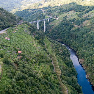 Visita a Bodega y Cata de Vinos para dos en Adegas Condado de Sequeiras de Ribeira Sacra (Chantada, Lugo) 