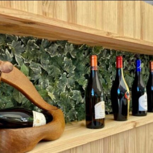 Visita a Bodega y Cata de Vinos en Adegas Condado de Sequeiras y Vuelo en Globo para dos (Lugo)