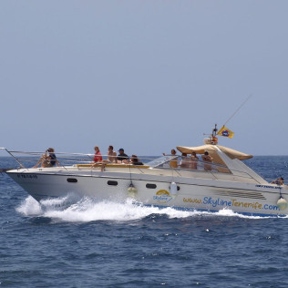 Crucero con Avistamiento de Fauna Marina, Snorkel y Aperitivo (Puerto Colón, Santa Cruz de Tenerife)