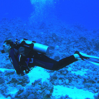 Curso de Buceo "Open Water Diver" (Málaga)
