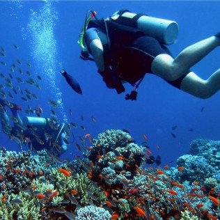 Curso de Buceo "Advanced Open Water" (Málaga)